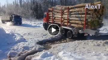 Extreme Dangerous Idiots Operate Big Wood Logging Truck Skill, Incredible Huge Timber Truck Drivi...