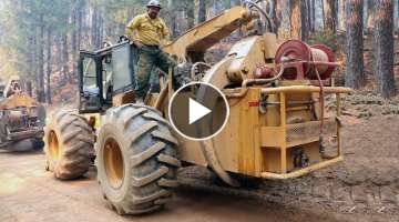Awesome Machine! Tree Logging - Process of harvesting trees #2