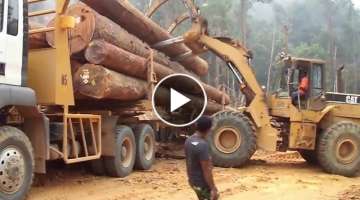 Truck Logging MAN TGS 40.440 6x6 dengan Kerja sama team di Medan berat.