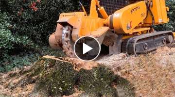 Incredible Largest Stump Ripper Grinding Machines Working, Dangerous Excavator Remove Stump Faste...