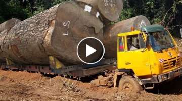 Very Heavy Wood Truck