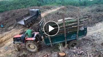 Farmers risk their lives to carry timber to the hills, Use human strength to earn a daily living