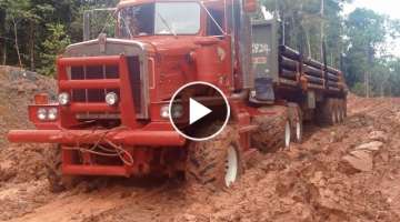 Truck stuck in mud!!! Heavy trucks MACK, KENWORTH, KAMAZ, MAN off-road!