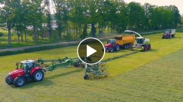 Grass Harvest all in one day! Claas Jaguar 990 / Massey Ferguson / USA Equipment / Vreba Dairy /...