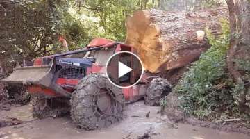 Amazing Logging Tractors in Extremely Muddy Roads | Best of Tractor Stuck in Deep Mud