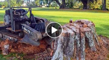Biggest Stump Grind Destroy Equipment Working so Dangerous, Fastest Huge Tree Removal Excavator