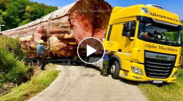Dangerous Idiots Fastest Logging Wood Truck Powerful Driving, Extreme Heavy Fails Truck Operator