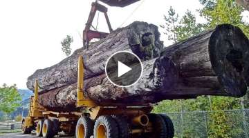 Dangerous Biggest Dump Truck Heavy Equipment Operator - Heavy Equipment Truck Driving Skills#2...