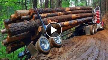 Dangerous Biggest Heavy Equipment Logging Wood Truck Climbing Operator, Monster Truck Driving Ski...
