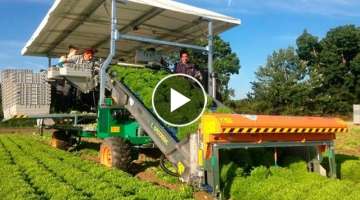It's Hard To Believe!! Amazing Mega Farming Machines!! A modern Farm in the USA!? 2022.
